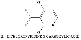 262423-77-8 CAS 262423-77-8